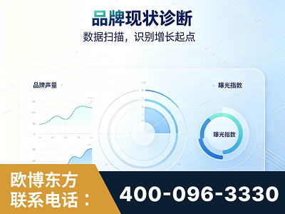 林州-品牌现状诊断