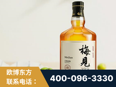 林州-梅见青梅酒